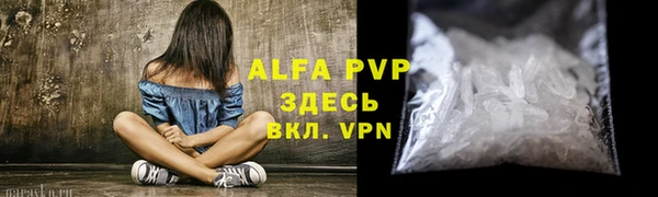 крисы Абаза