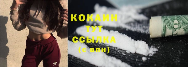 крисы Абаза