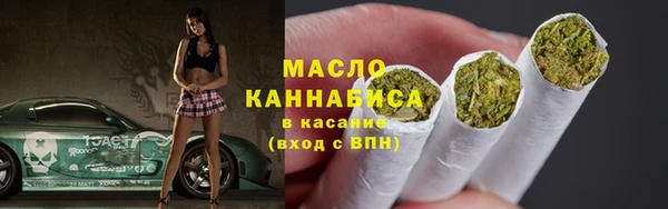 индика Абинск