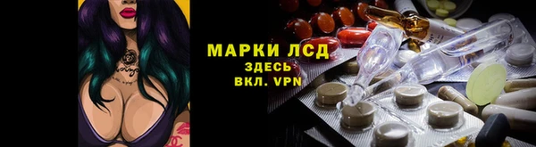 индика Абинск