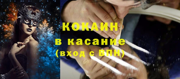 крисы Абаза