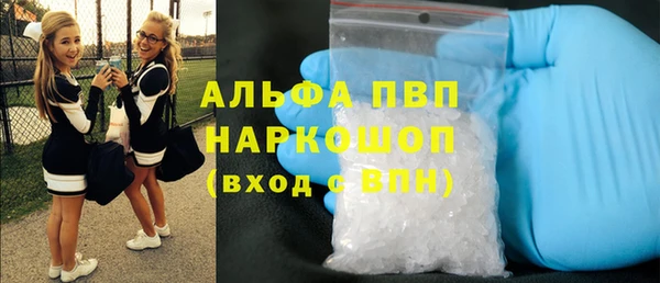 крисы Абаза