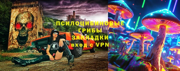 индика Абинск