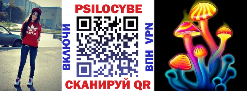 Галлюциногенные грибы GOLDEN TEACHER  купить наркотики цена  Моршанск 